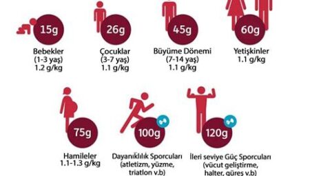 Günlük Protein İhtiyacı Nasıl Karşılanır?