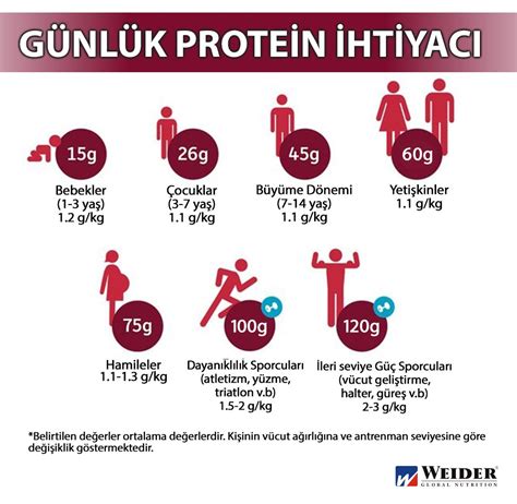 Günlük Protein İhtiyacı Nasıl Karşılanır?